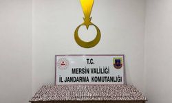 Mersin’de operasyon: 7 bin 256 sentetik ecza hapı ele geçirildi, 1 kişi tutuklandı