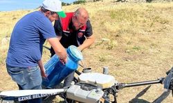 Ezine’de çekirge alarmı: Dronla ilaçlama yapıldı