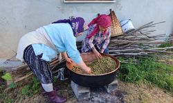 Giresun’da dut pekmezi mesaisi başladı