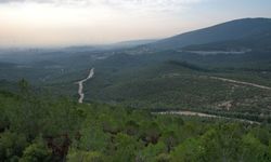 İzmir’de ormanlara giriş 5 ay yasaklandı