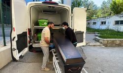 Sivas'ta kene alarmı: Ölü sayısı dörde yükseldi
