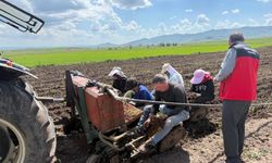 Ada çayı Patnos’ta toprakla buluştu