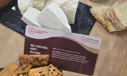 Türkiye’nin peynir kültürü Ankara’da tanıtıldı