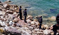 Van-Bitlis karayolunda otomobil göle uçtu