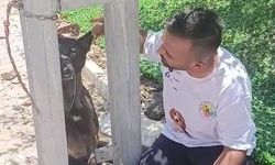 Hatay'da akıl almaz olay! Sahipli köpek direğe asılmış halde bulundu