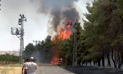 Gaziantep’te orman yangınına havadan ve karadan müdahale