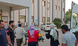 Kahta'da kamyonet devrildi: 6 kişi yaralandı