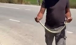 Bursa'da çiftçinin cesareti endişelendirdi