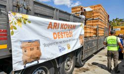 ABB'den arıcılara yüzde 50 hibeli kovan desteği