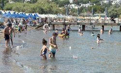 Ucuz tatil vaadine dikkat! Bodrum'da sahte rezervasyon mağduriyetleri arttı