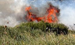 Datça’da yangına havadan ve karadan müdahale