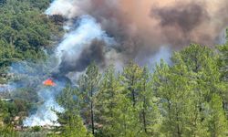 Fethiye Göcek'te orman yangını