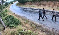 Fotokapanlarla bin 847 şüpheli yakalandı