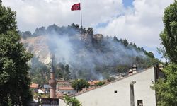 Tarihi Hisar Kalesi çevresinde yangın paniği