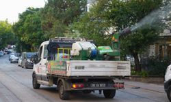 Keçiören'de parklar ve sokaklar ilaçlanıyor