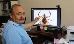 Prof. Dr. Çetin: Dişi keneler 10 bin yumurta bırakabiliyor