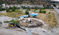 Kızılcahamam'da leylek yavruları göçe hazırlanıyor