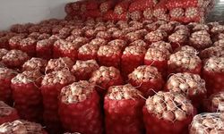 Kuru soğanda gümrük vergisi yeniden düzenlendi