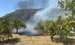Muğla'da tarım arazisinde çıkan yangına yoğun müdahale