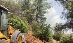 Bodrum’da orman yangını