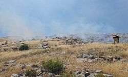 Elazığ’da Nimri Dağı’nda yangın