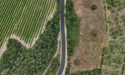 Sakarya’da yeni yol: 20 dakikalık mesafe 6 dakikaya düştü