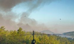 Muğla'daki yangınlara havadan müdahale yeniden başladı