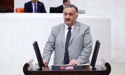 DEVA Partili Karal: Arıcıya verilen destek geri alınıyor
