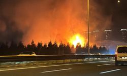 Ankara Yenimahalle'de otluk alanda yangın