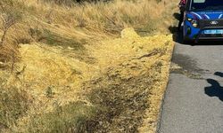 Bilecik'te sigara izmariti tarla yangınına neden oldu