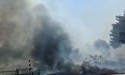 Eskişehir’de otluk alan alevlere teslim oldu