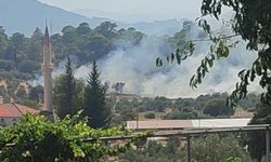 Dalaman'da orman yangını! Ekipler kısa sürede kontrol altına aldı