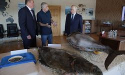 Putin’in Kuril Adaları'na ziyareti Japonya’yı kızdırdı