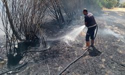 Çayırda yangın çıktı, ekipler seferber oldu