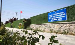 ABB'den kedilere özel kısırlaştırma merkezi
