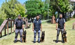 ABB'nin K9 ekipleri Başkent'te 7 gün 24 saat görevde