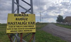 Ardahan’da kuduz alarmı: Mahalle karantinaya alındı