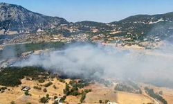 Antalya Kaş’ta orman yangını
