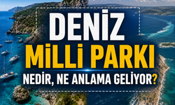 Deniz Milli Parkı nedir, ne anlama geliyor?