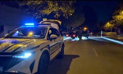 Denizli’de kontrolden çıkan otomobil ağaca çarptı: Sürücü yaralandı