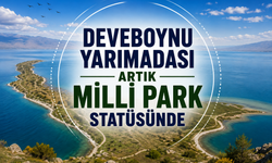 Deveboynu Yarımadası artık milli park statüsünde