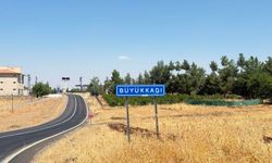 Diyarbakır Sur’da kuduz alarmı