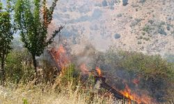 Malatya Doğanşehir'de çıkan yangın tarım alanlarına sıçradı
