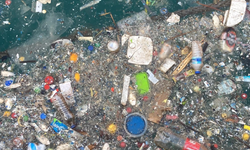 Akdeniz'deki mikroplastik kirliliği Meclis gündemine taşındı
