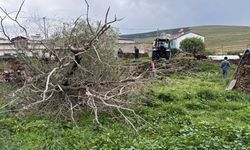 Ardahan’da fırtına ağaçları devirdi: Köylüler seferber oldu