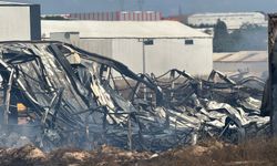 Gebze'de kimya fabrikasında yangın: 2 işçi yaralandı, 2 at telef oldu