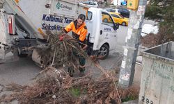 Çankaya Belediyesi hacimli atık konusunda uyardı