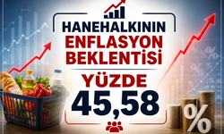 Hanehalkının enflasyon beklentisi yüzde 45,58