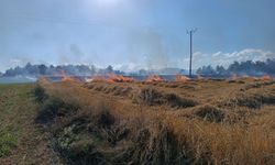 Kastamonu'da yangın: 13 dönümlük tarla zarar gördü