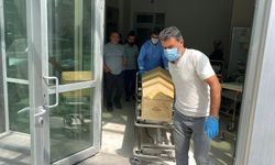 Yozgat'ta kene alarmı: Bir kadın hayatını kaybetti